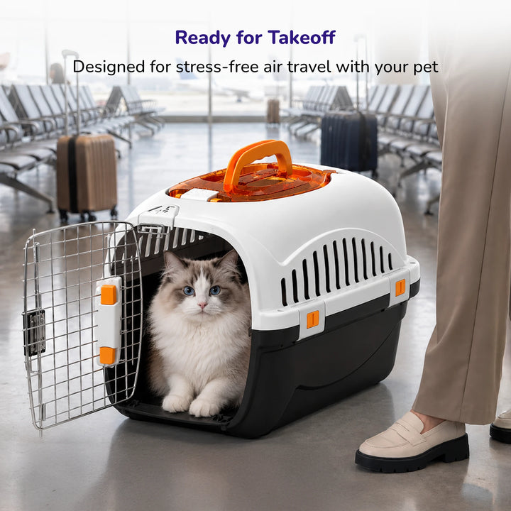 Pet Carrier Box
