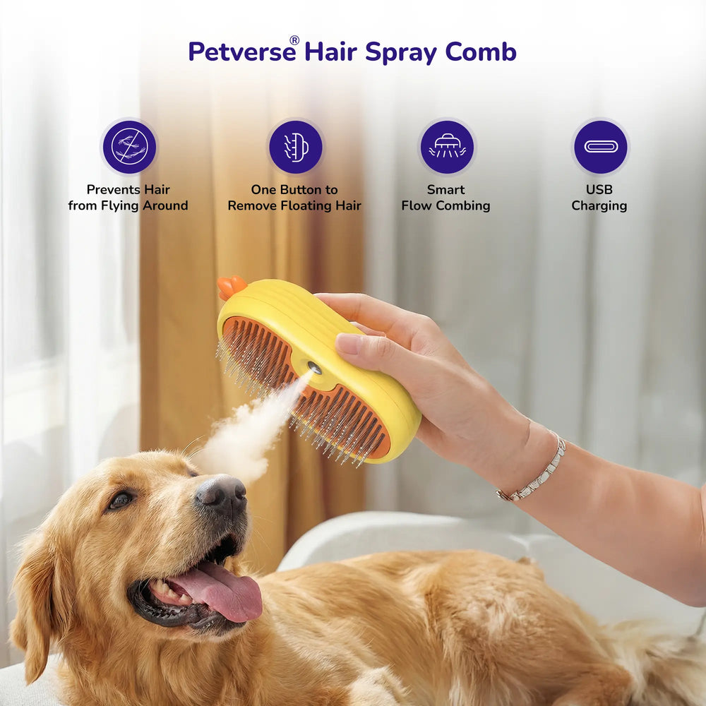 Teal pet steam brush with soft silicone bristles and rounded tips for gentle skin massage and safe grooming.