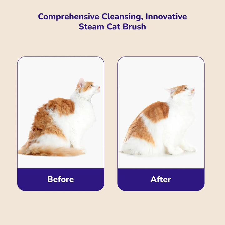 2-in-1 pet grooming brush and water spray comb for shedding hair removal on dogs and cats.