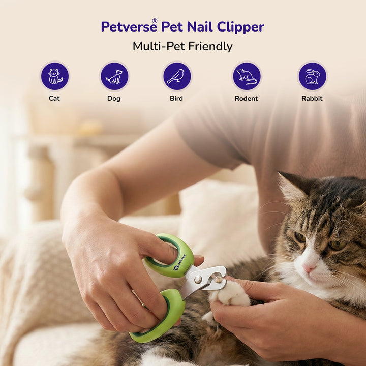 Person trimming a cat’s nails with green‑handled multi‑pet nail clippers 