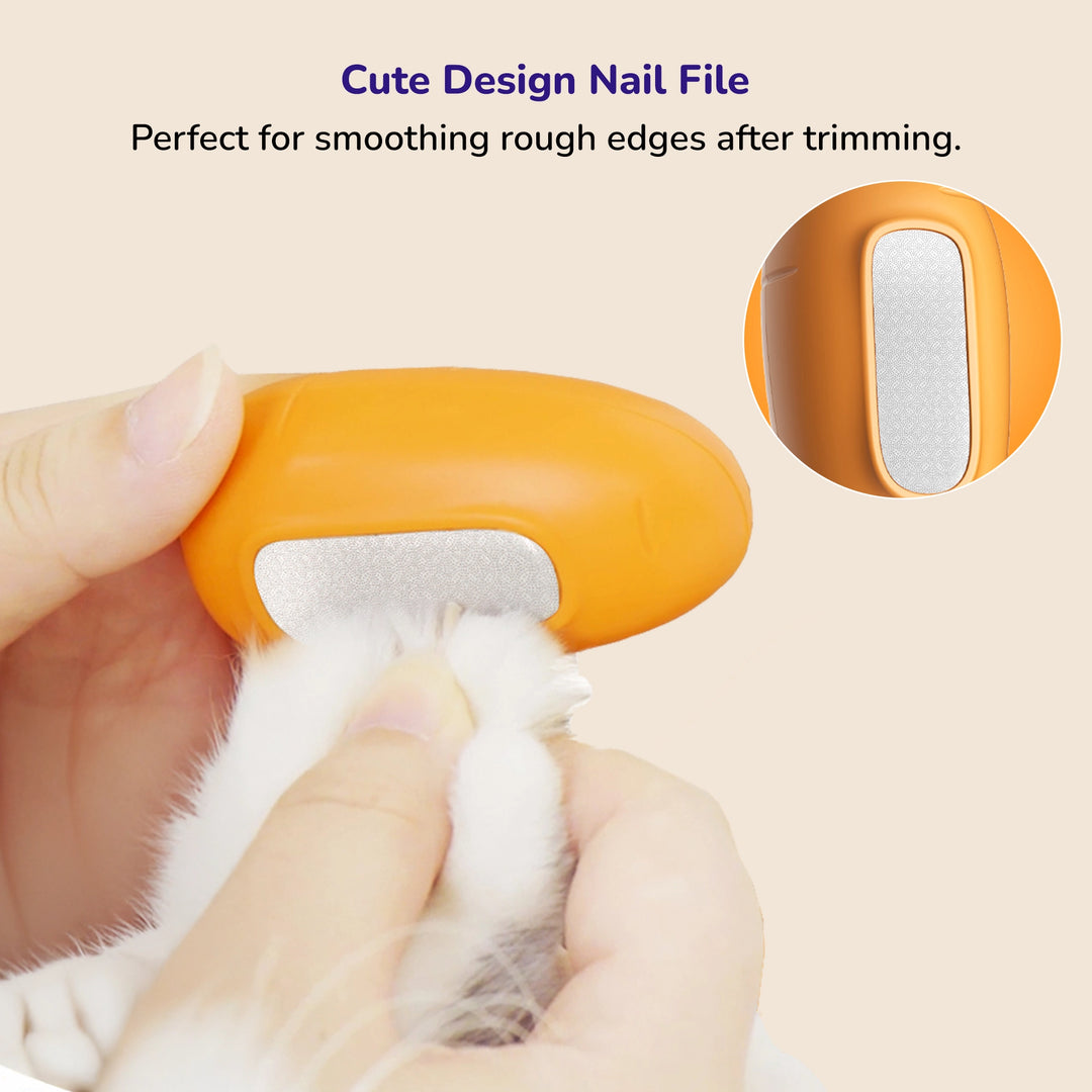 Pet nail file tool smoothing rough edges of a furry paw after trimming 