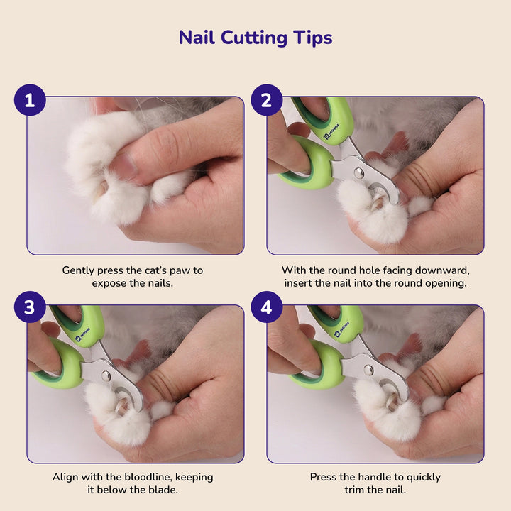 Step-by-step pet nail trimming guide showing hands using green nail clippers on a cat’s paw.