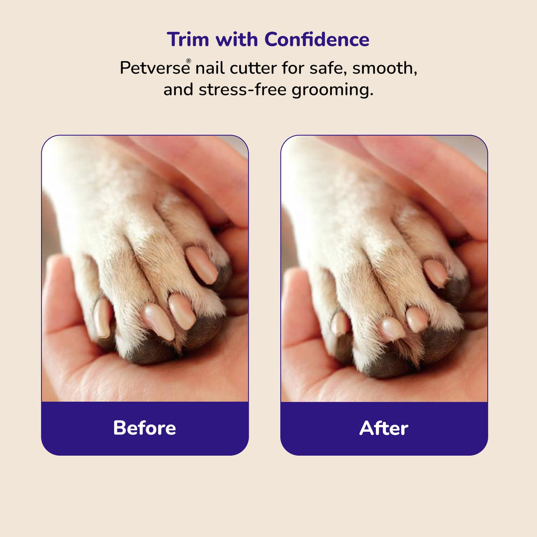 Close-up pet nail trimming before and after, showing clean, safe clipped nails