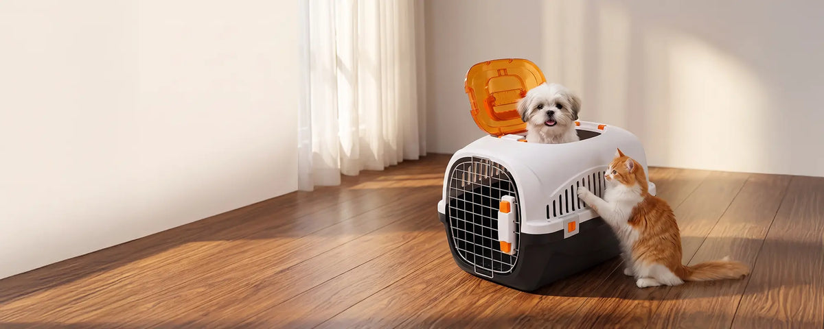 Petverse Pet Air Box collection banner desktop