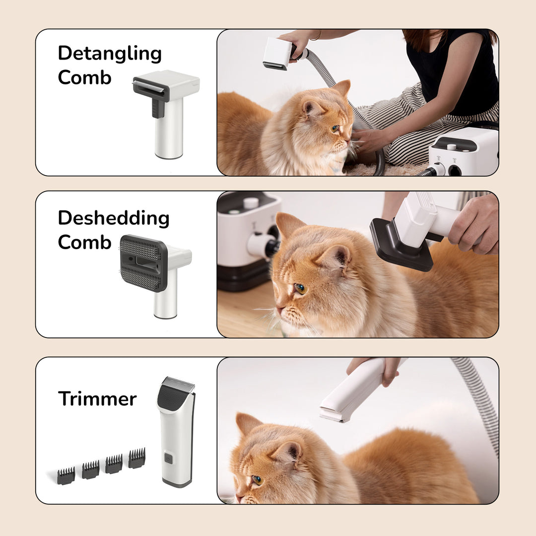Pet grooming tools include a detangling comb, deshedding brush, and trimmer.