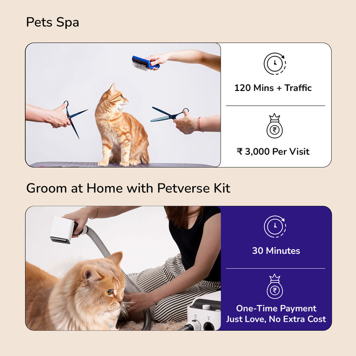 Petverse Cat grooming Kit