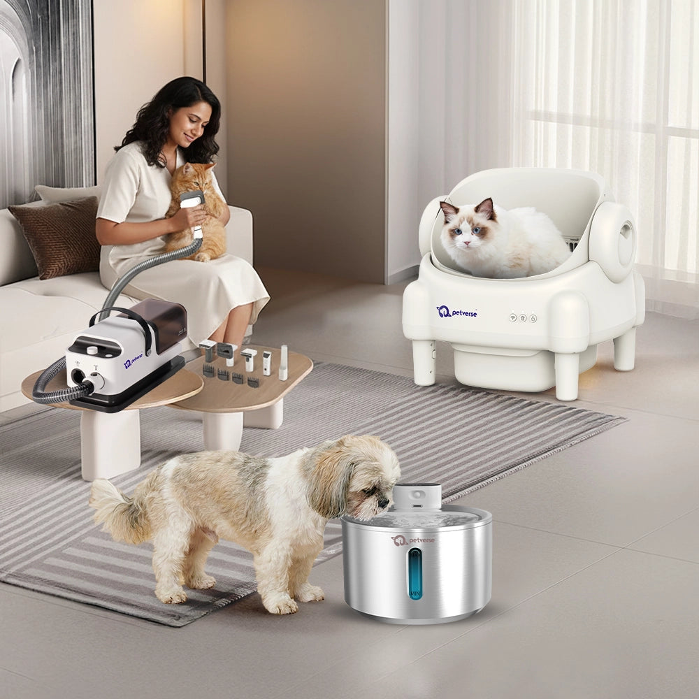 Pet products scene showing a woman grooming a cat, a cat in a white litter box, and a dog drinking from a stainless pet water fountain in a living room.
