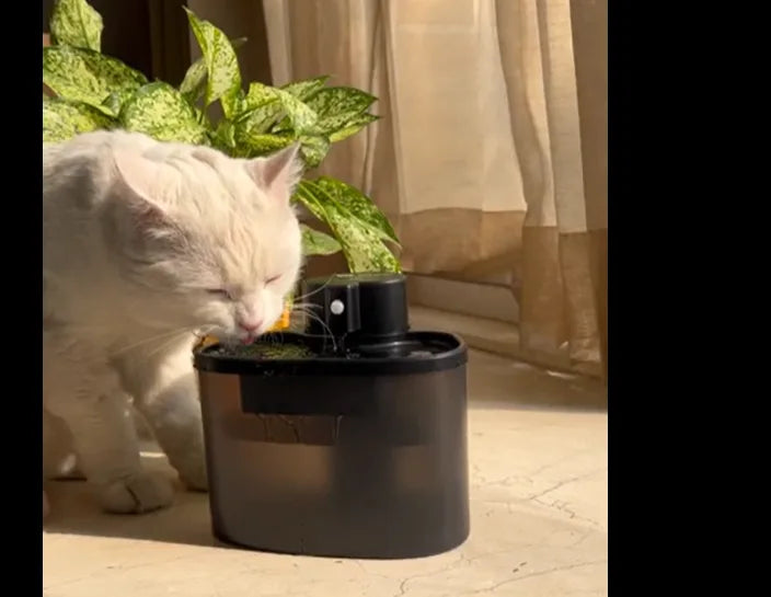 White cat drinking from a black pet water fountain on a light floor with indoor plants in the background.