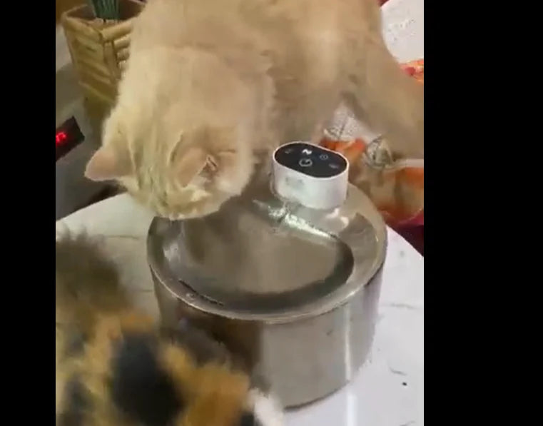 Cat drinking from a black pet water fountain on a light floor near a beige curtain.