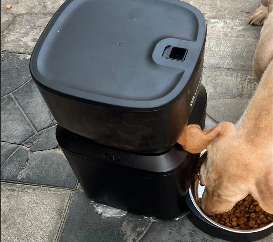 Petverse automatic pet feeder, customer review photo