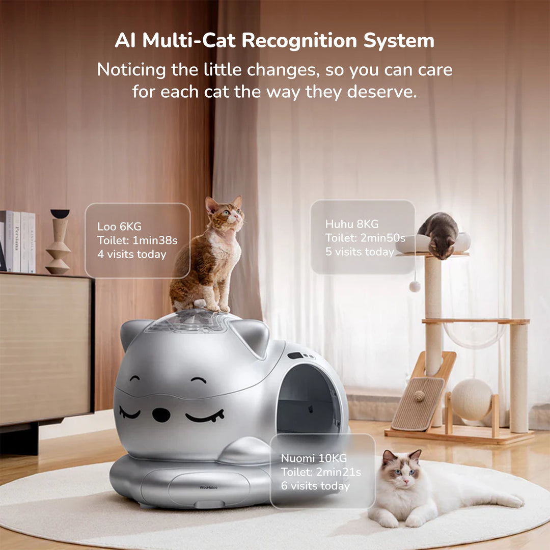 Silver smart cat litter box face showing AI multi‑cat tracking stats and cats around it.
