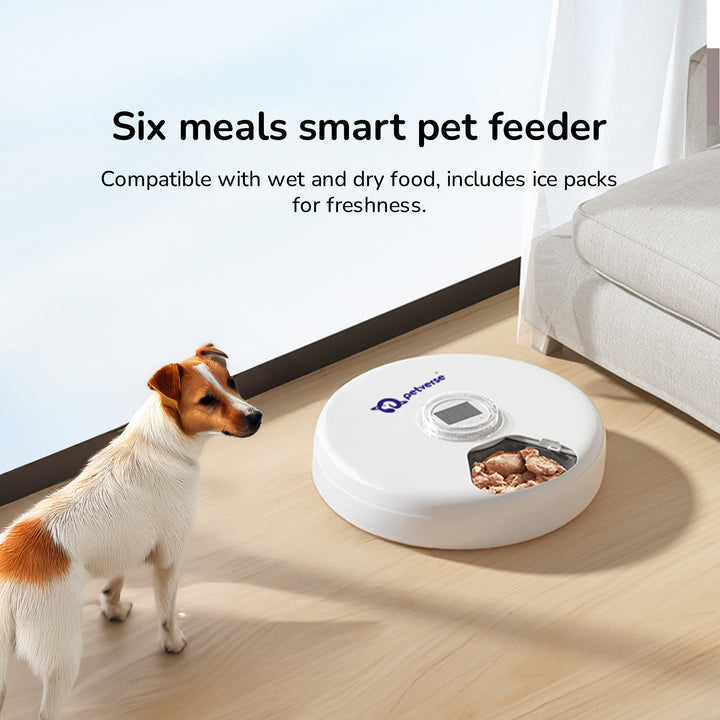 Smart pet feeder with wet and dry food
