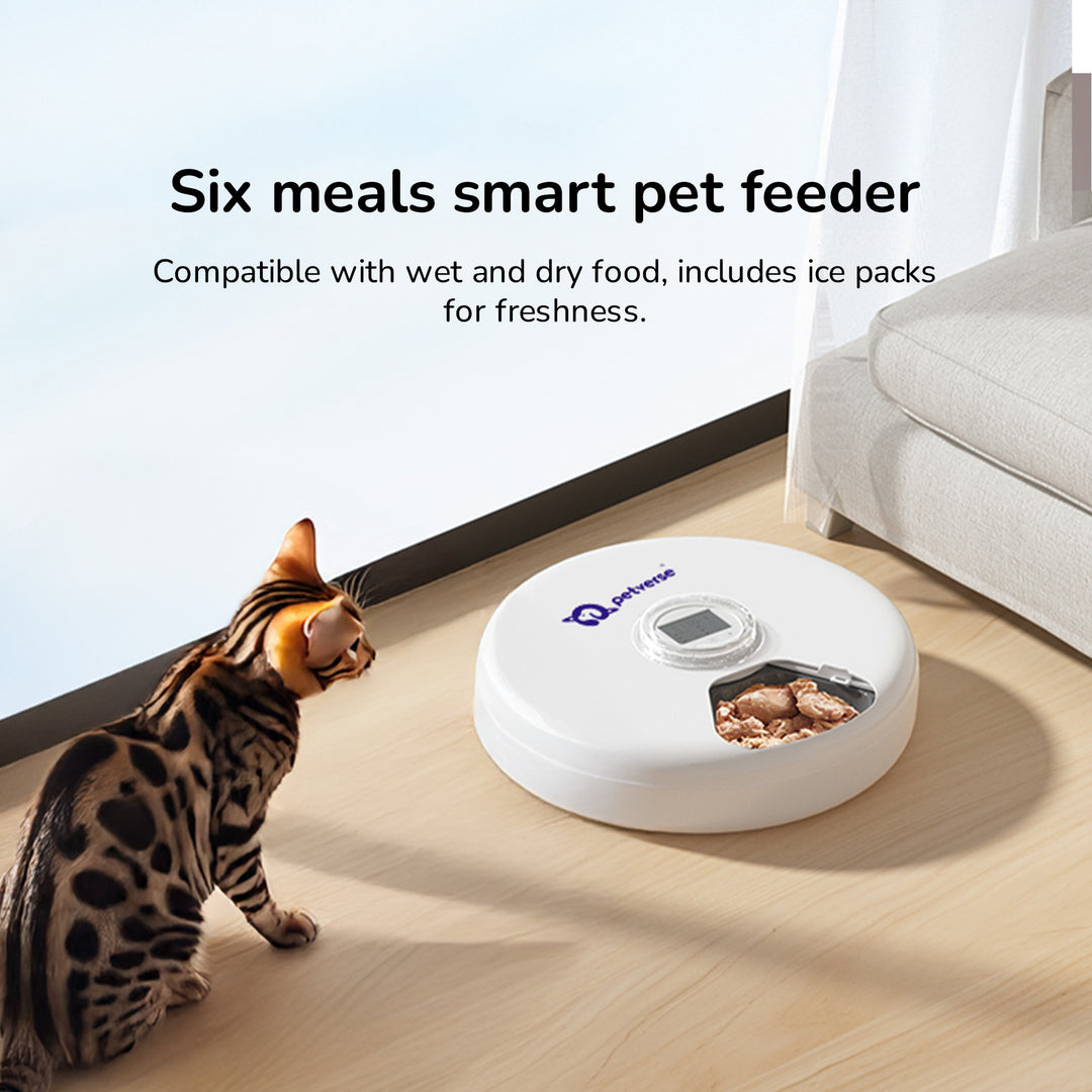 Smart pet feeder with wet and dry food