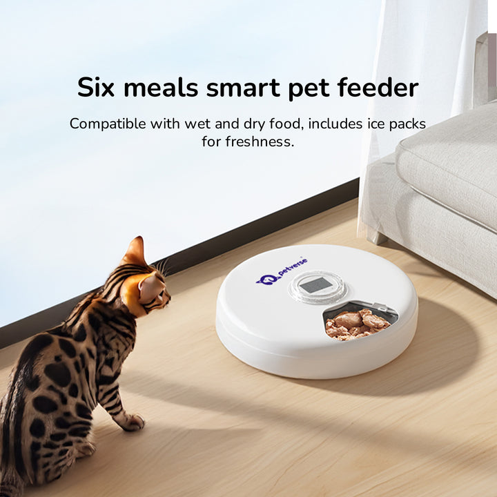 Smart pet feeder with wet and dry food