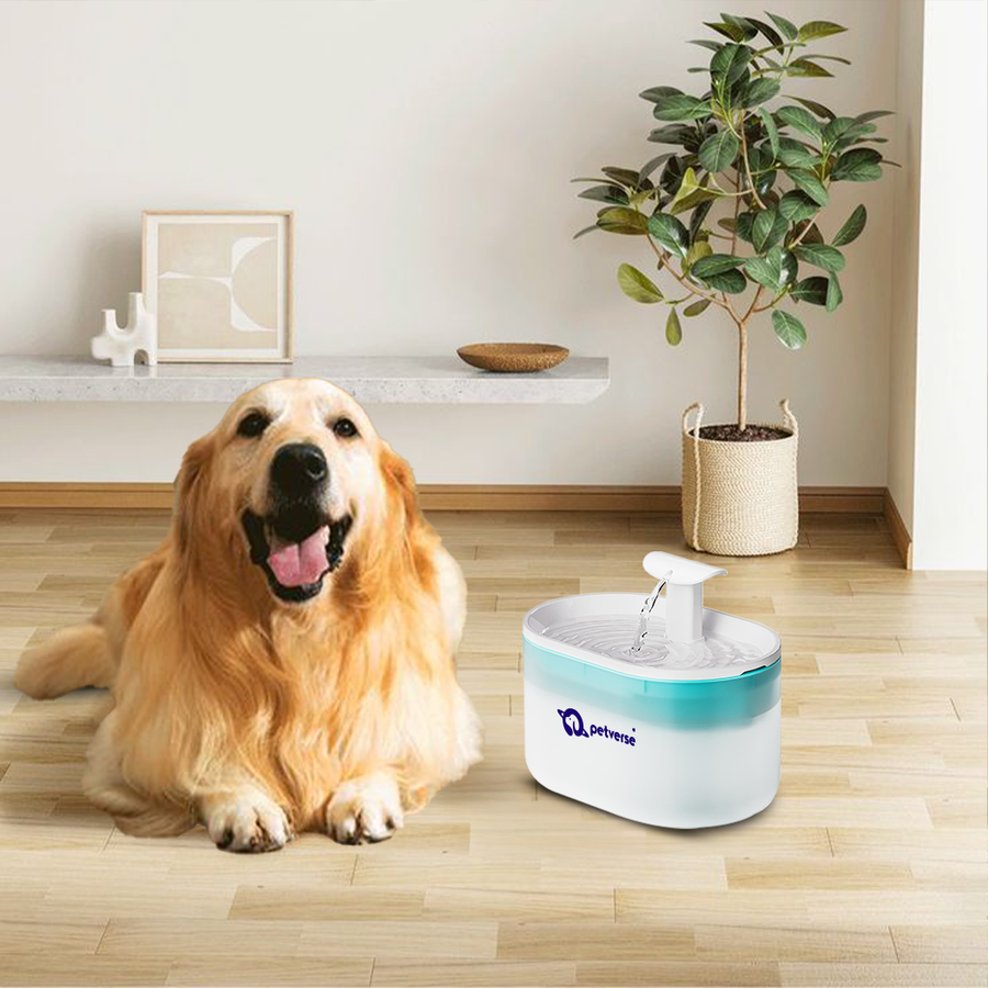 Automatic Pet Water Fountain for Dogs by Petverse