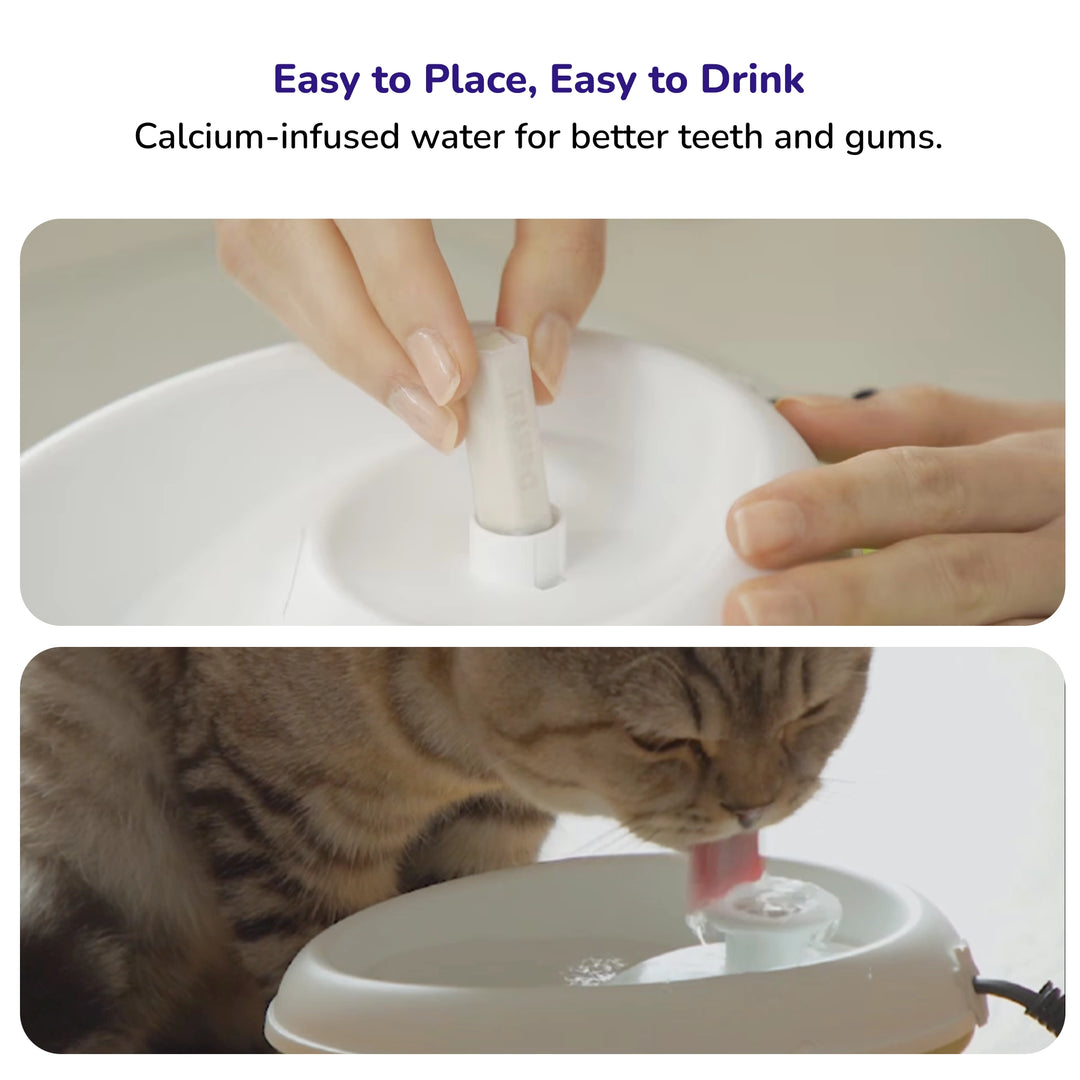 A cat drinking from a white pet water fountain with a calcium‑infusing dental stick being inserted.