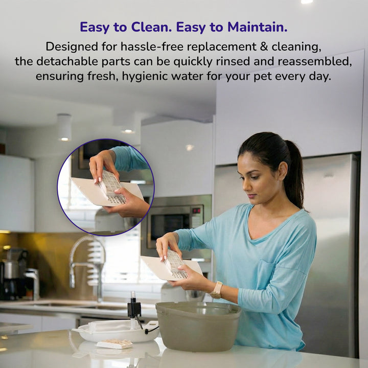 Person cleaning detachable pet water fountain parts with a caption about easy cleaning.