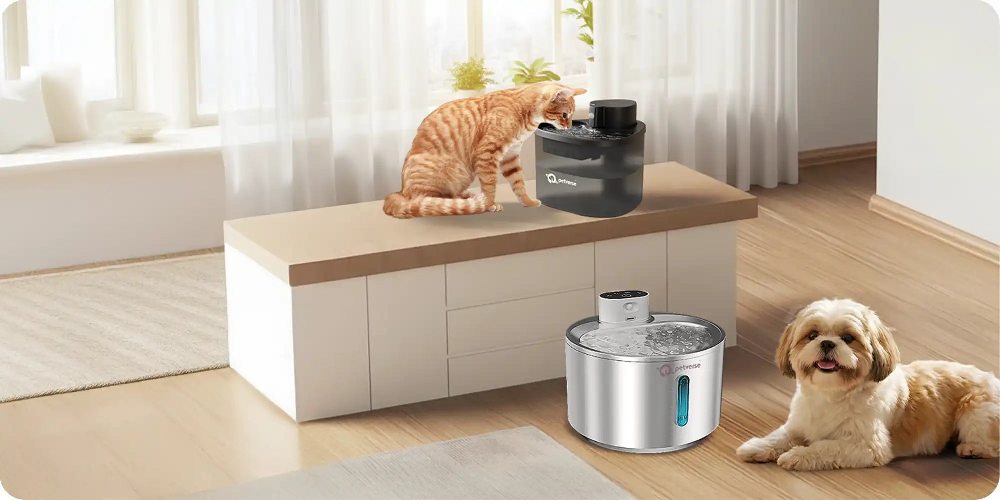 A cat drinking from a modern pet water fountain with a small dog lying beside it in a bright living room.