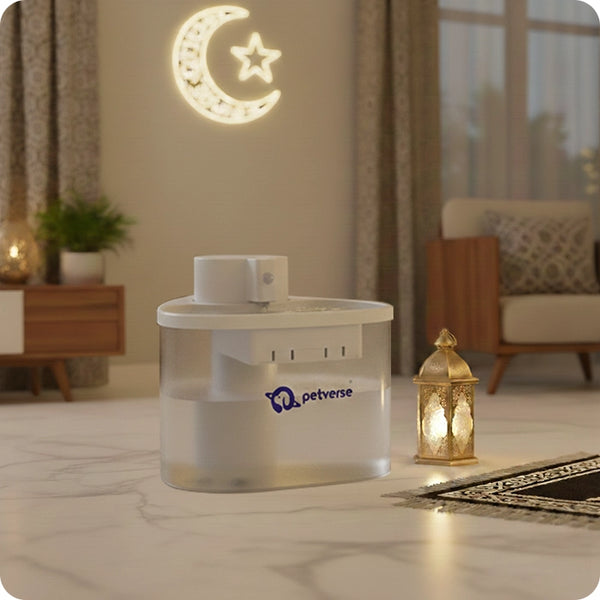 Petverse smart pet water fountain for cats and dogs in cozy Ramzan home environment.