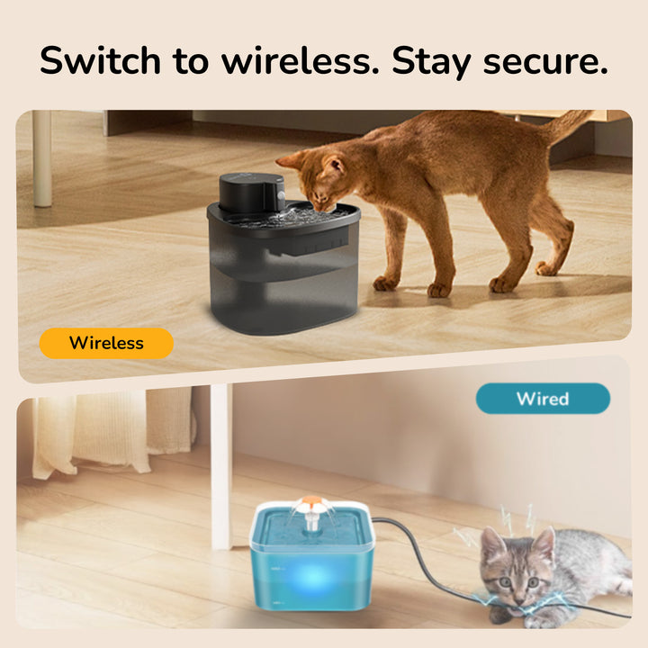Wireless Pet Water Fountain for Dogs