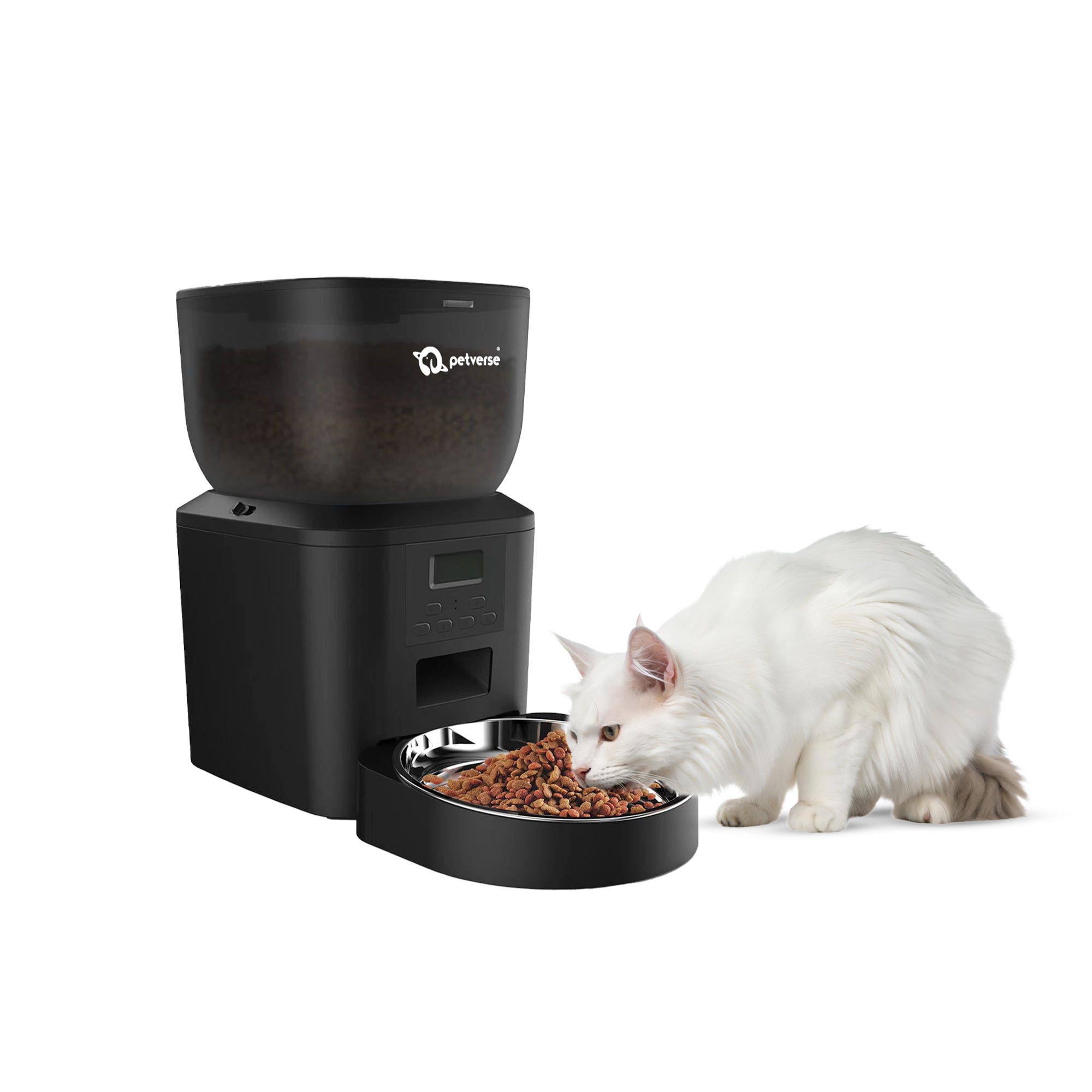 Cat Collection