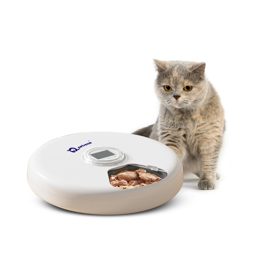 A six-compartment automatic feeder for cats, designed to dispense up to six pre-portioned meals.
