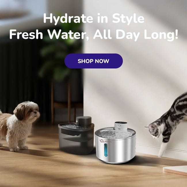 Petverse 4 L and 2 L wireless pet water fountains with motion sensors and flowing filtered water on a clean background and pets approaching them