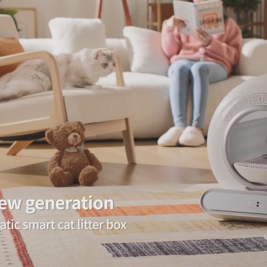 Automatic Cat Litter Box Pro
