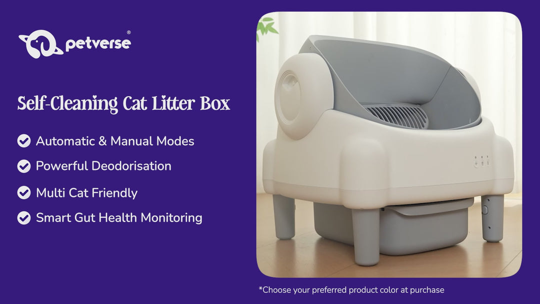 Self-Cleaning Cat Litter Box (Open Top)
