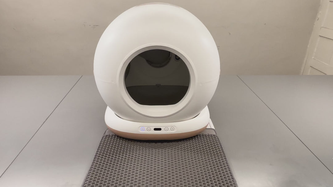 Automatic Cat Litter Box