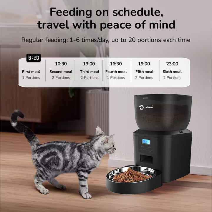  Automatic pet feeder dispensing kibble at a scheduled time for a cat.