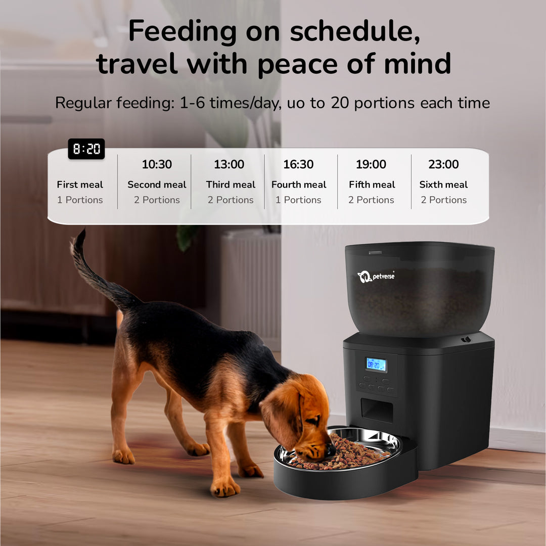 An automatic pet feeder dispensing kibble at a scheduled time for a dog
