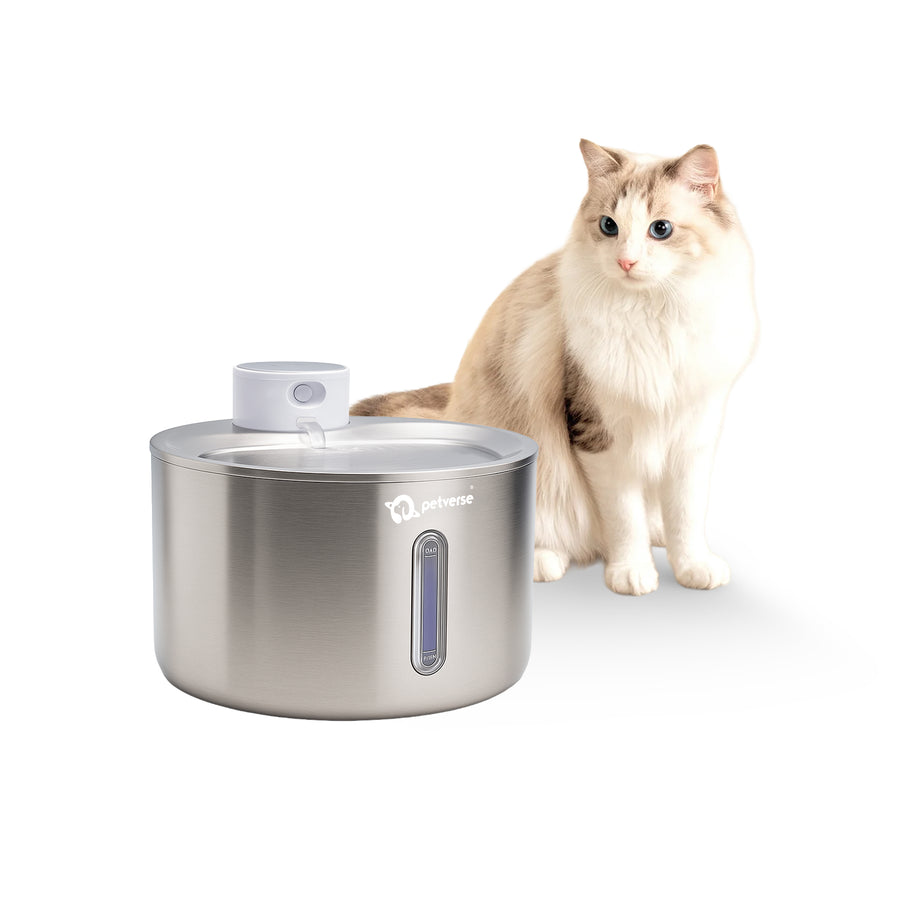 Stainless steel cat water fountain with continuous flowing clean drinking water.
