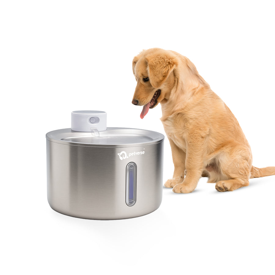 Stainless steel dog water fountain with continuous flowing clean drinking water.
