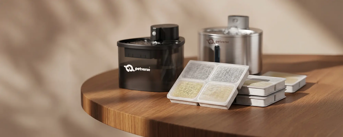 water fountain filters and accessories